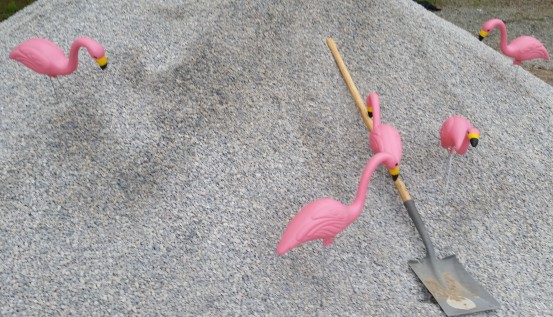 flamingo rock (3)