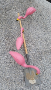 flamingo rock6