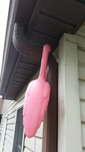 flamingo hanging on a downspout